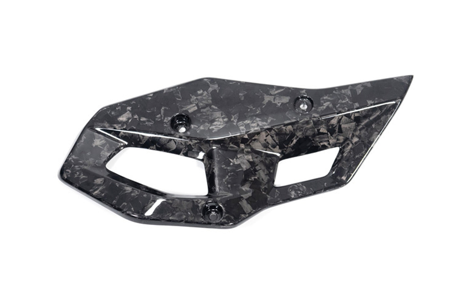 Ilmberger - Heel Protector for R 1300 GS