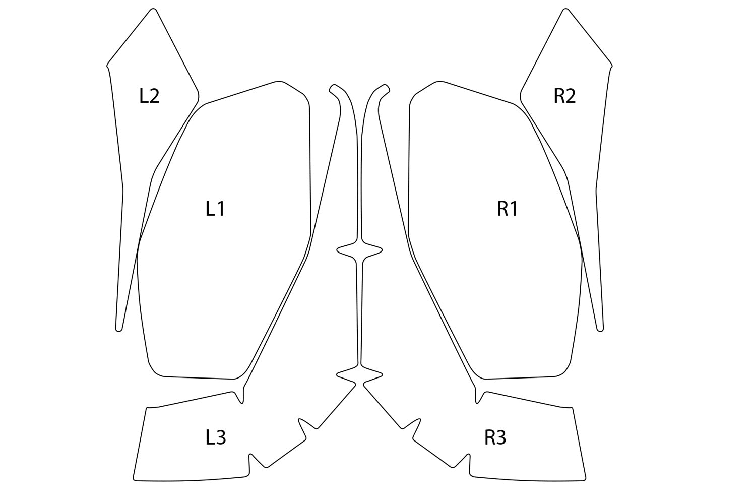 PremiumShield - Side Pannier Protection Film Set for R 1300 R + RS