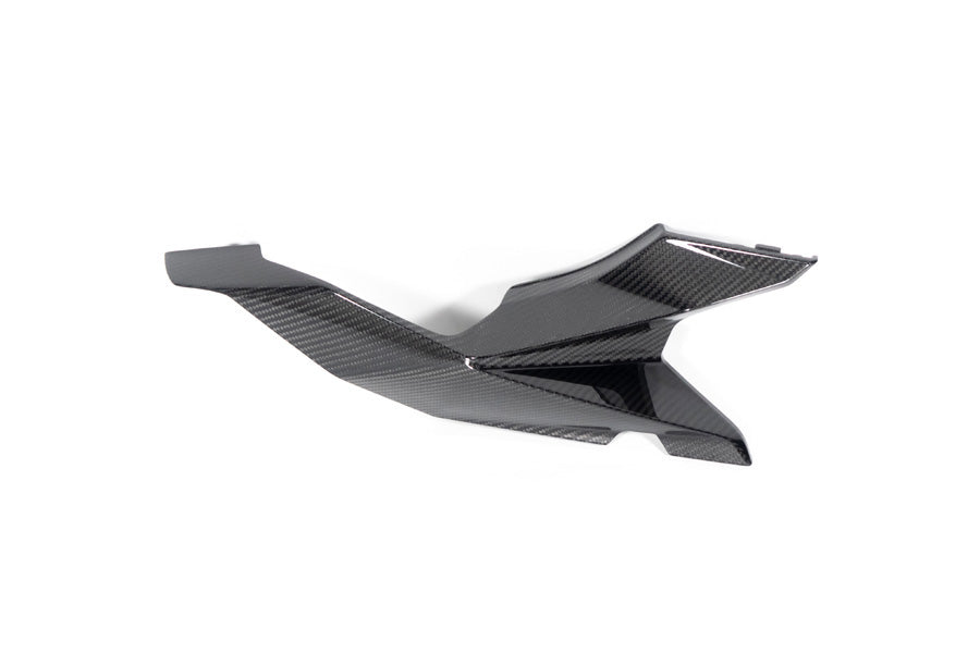 Ilmberger - Rear Fairing for M 1000 XR