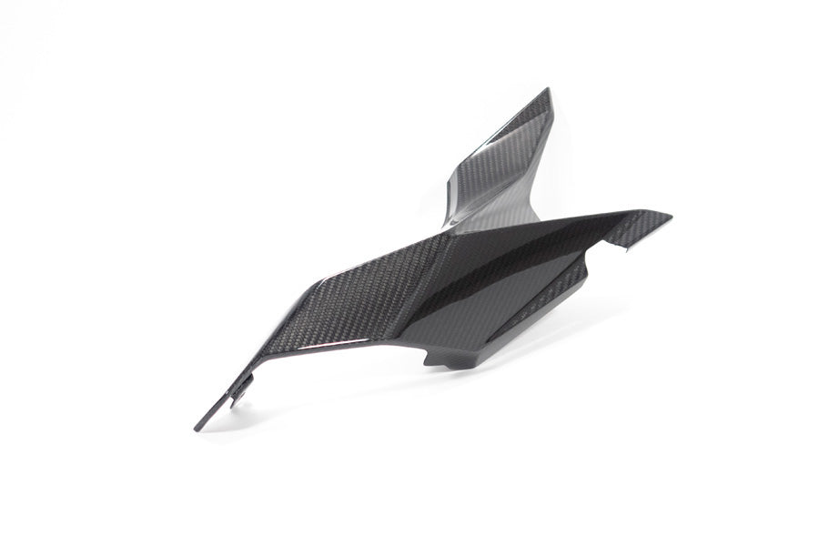 Ilmberger - Rear Fairing for M 1000 XR
