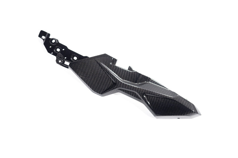 Ilmberger - Tail Fairing for M 1000 XR