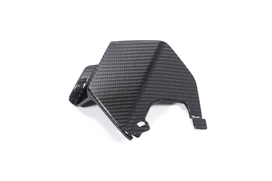 Ilmberger - Upper Winglet for M 1000 XR