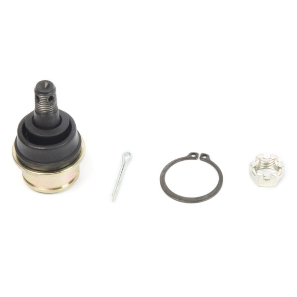 AllBallsRacing-BALL JOINT LWR/UPR C-AM ALLBALLS 42-1039 723980400959