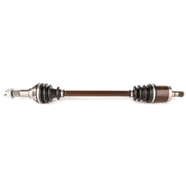 AllBallsRacing-AXLE 6-BALL C-AM ALLBALLS AB6-CA-8-218 701567351757