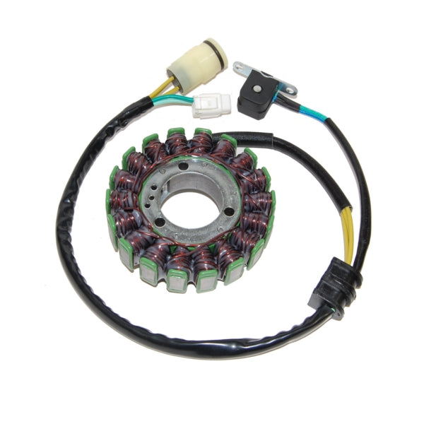 Electrosport-STATOR YAM ELECTROSPORT ESG950 799804156432