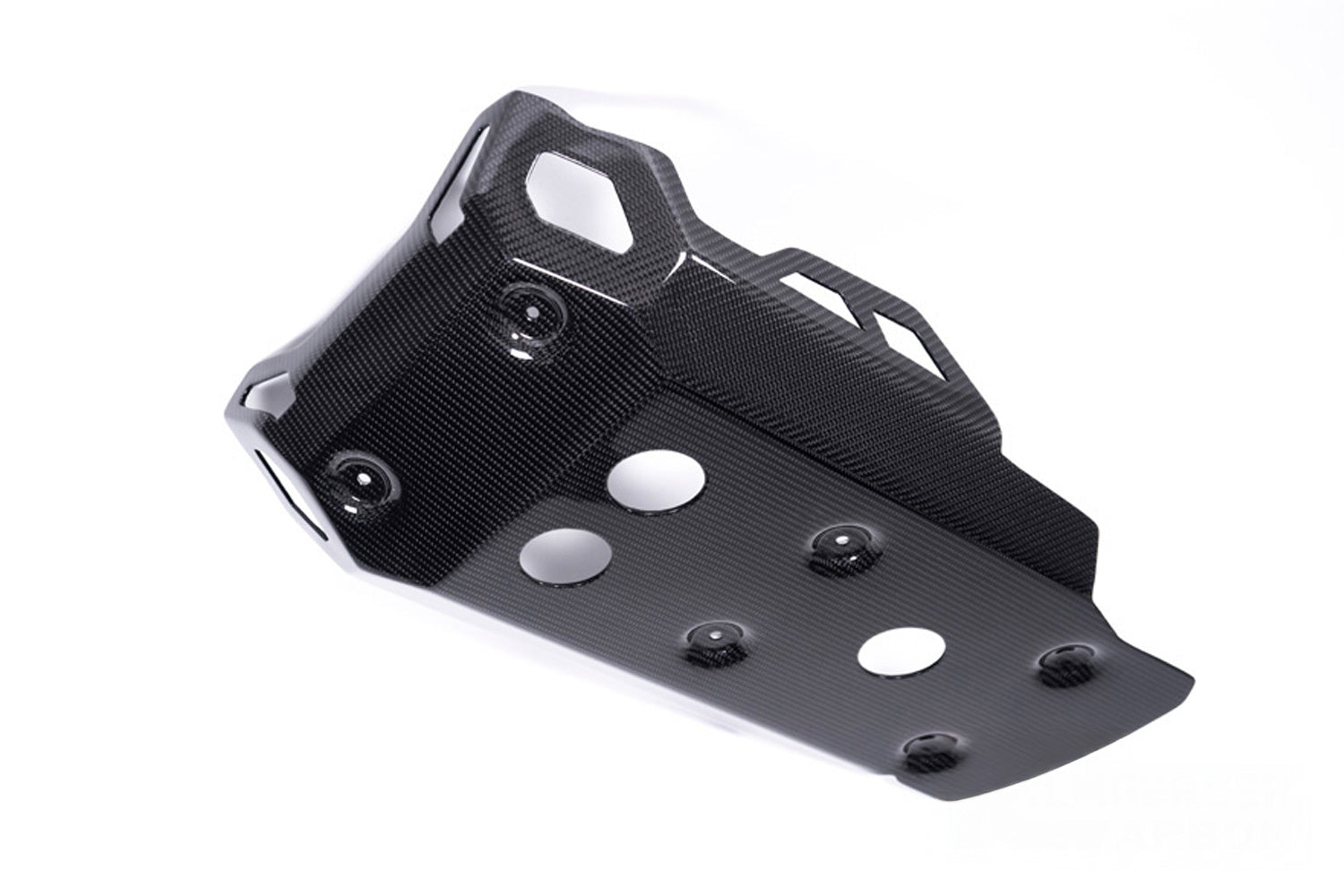Ilmberger - Engine Protector for R 1250 GS