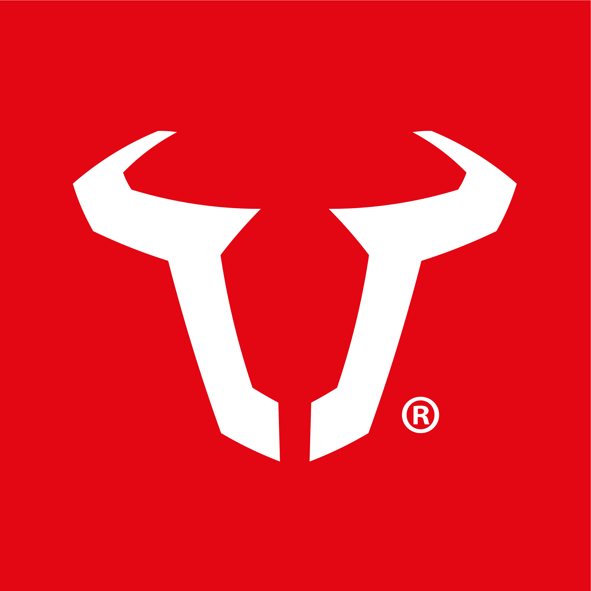 SW-Motech - Kobra Handguard for BMW G310GS (20-24)