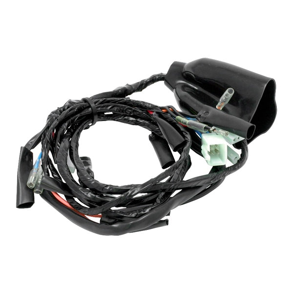 DRCZeta-Main Harness