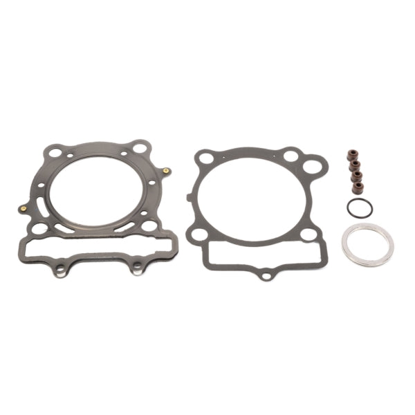 VertexWinderosa - Top End Gasket (810568)