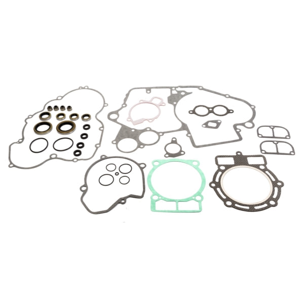 VertexWinderosa - Complete Gasket Set with Oil Seals - 811 (811318)