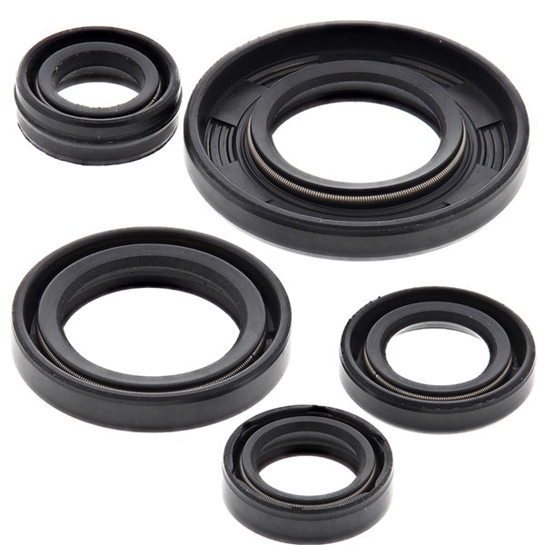 VertexWinderosa - Oil Seal Sets (822240)