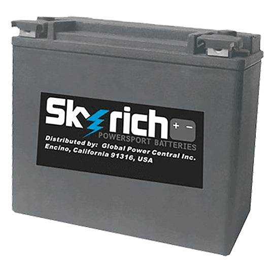 Skyrich - Battery Lithium Ion Super Performance