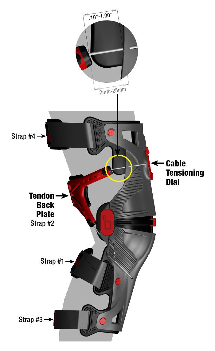 MOBIUS - X8 Knee Braces (pair)