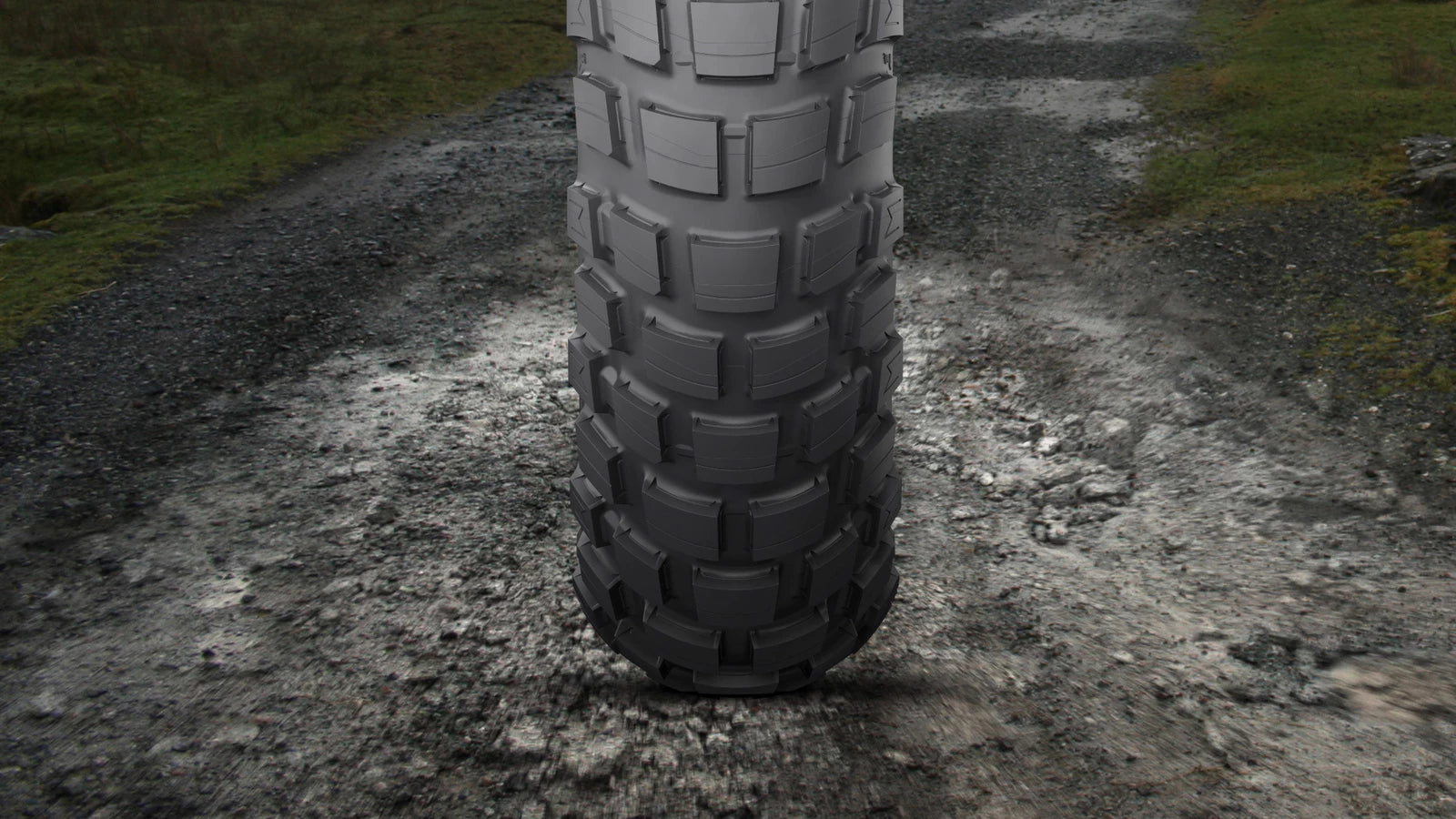 Michelin - Anakee Wild Tire