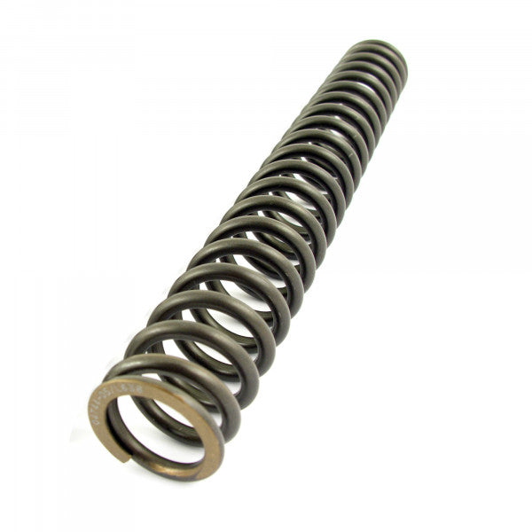ÖHLINS - fork springs (04744-05)