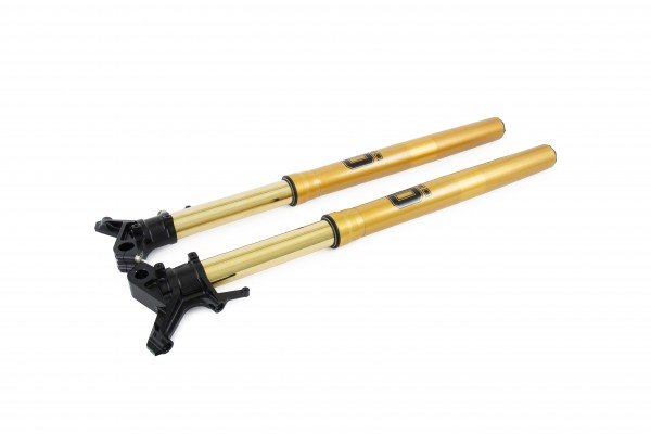 Ohlins front online forks