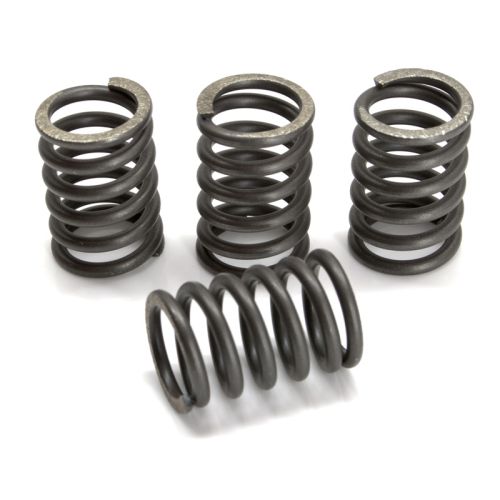 EBC - "CSK" Heavy Duty Clutch Springs for Honda CRF450R 2009-2010 ("CSK"157)