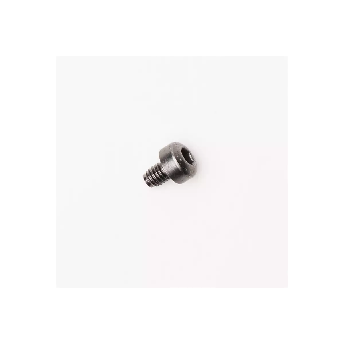 Fox Racing - Buckle Screws-No Color (09420-000)
