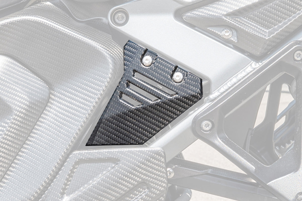 Ilmberger - Front Triangle Cover for Rear Frame for R 1300 GS Adventure