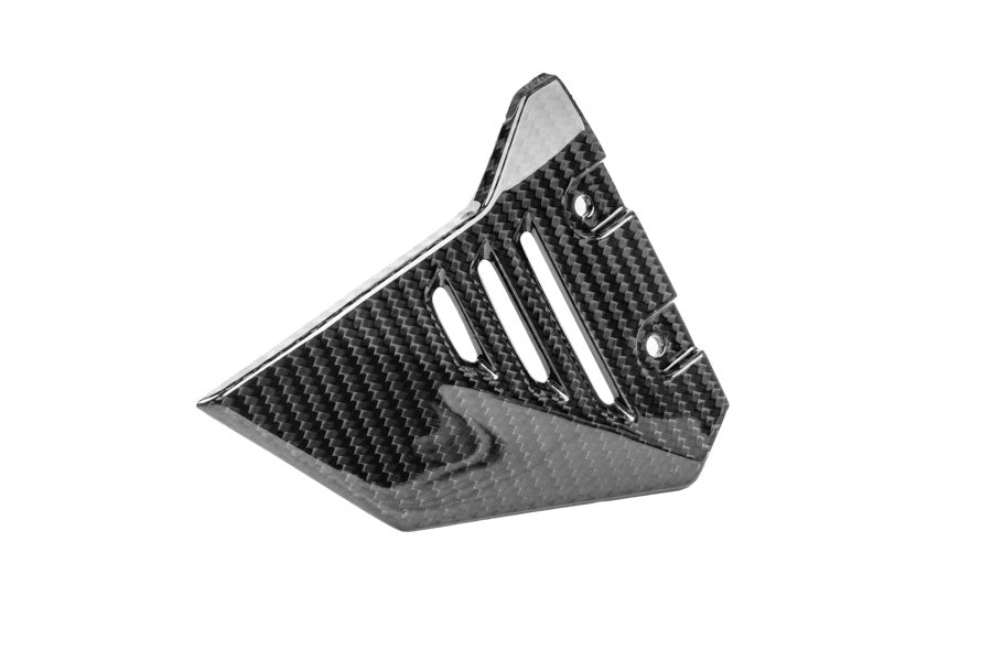 Ilmberger - Front Triangle Cover for Rear Frame for R 1300 GS Adventure