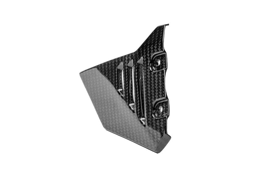 Ilmberger - Front Triangle Cover for Rear Frame for R 1300 GS Adventure