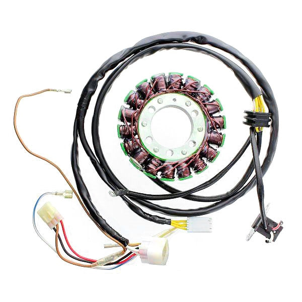 Electrosport-STATOR POL ELECTROSPORT ESG803 799804156210