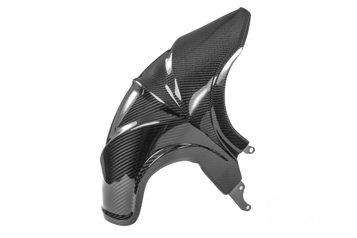 Ilmberger - Fender for BMW R 1300 R/RS