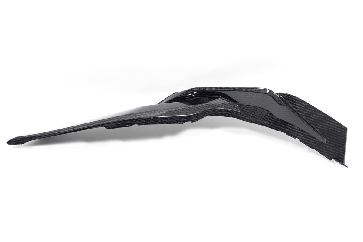 Ilmberger - Side Cover for Lower Tank for S 1000 XR / for M 1000 XR