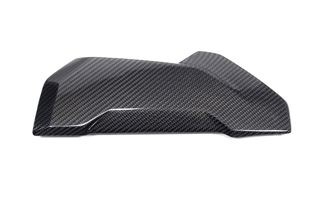 Ilmberger - Side Cover on the Radiator Protection for S 1000 XR 2020 (20214-011)
