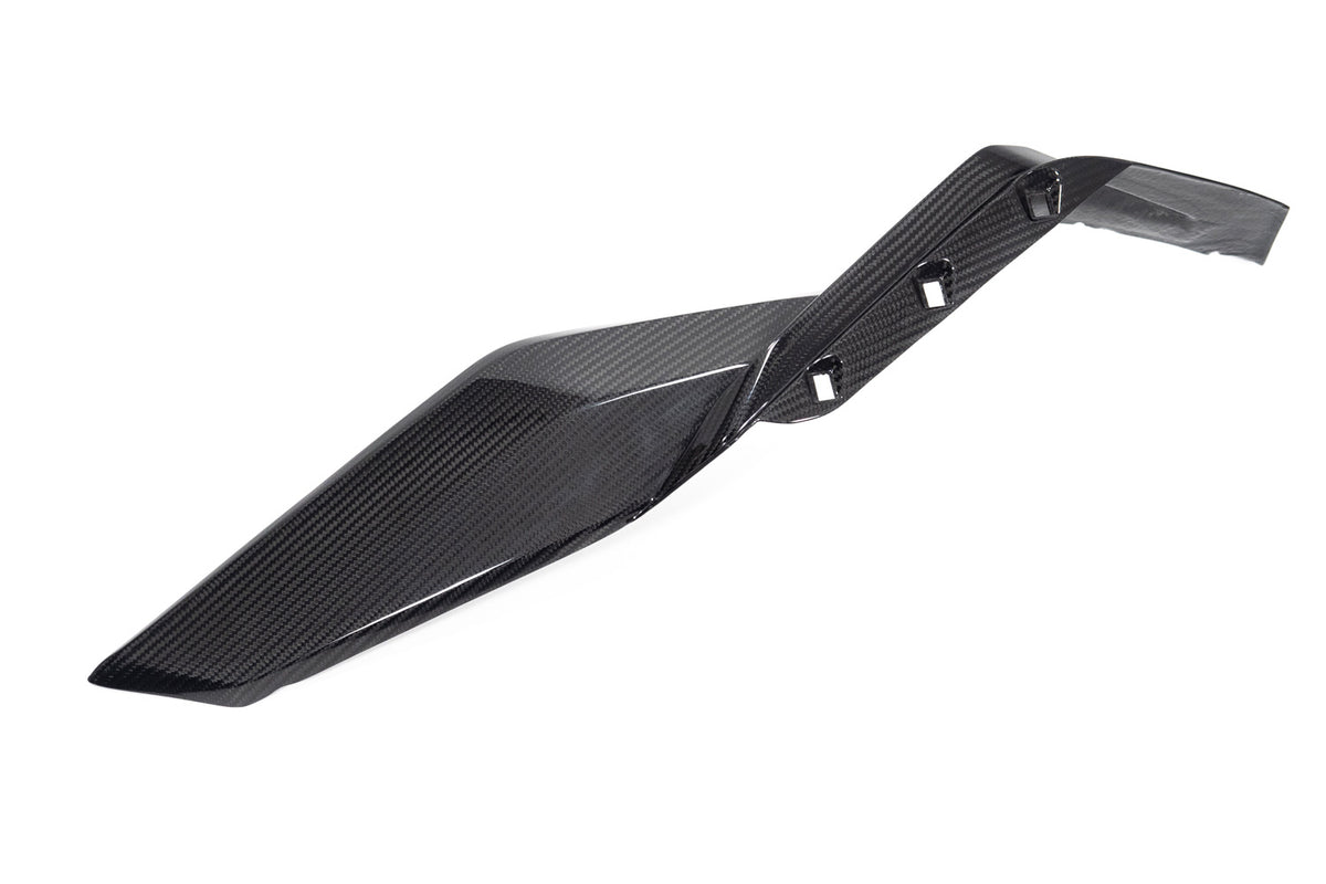 Ilmberger - Side Cover for Lower Tank for S 1000 XR / for M 1000 XR