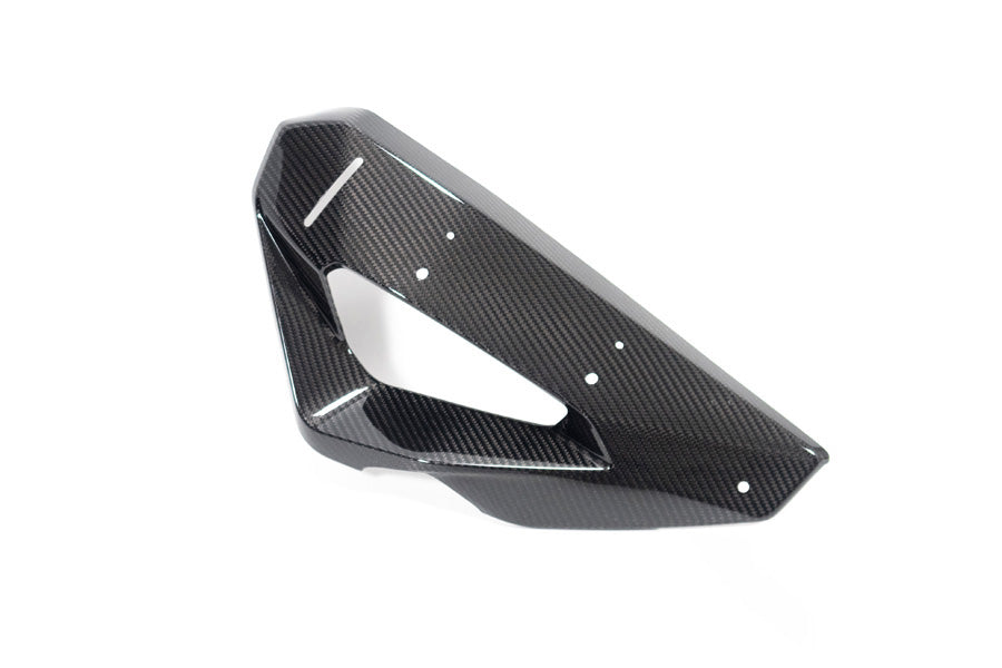 Ilmberger - Cover on Radiator Fairing + Winglet Mount for M 1000 XR