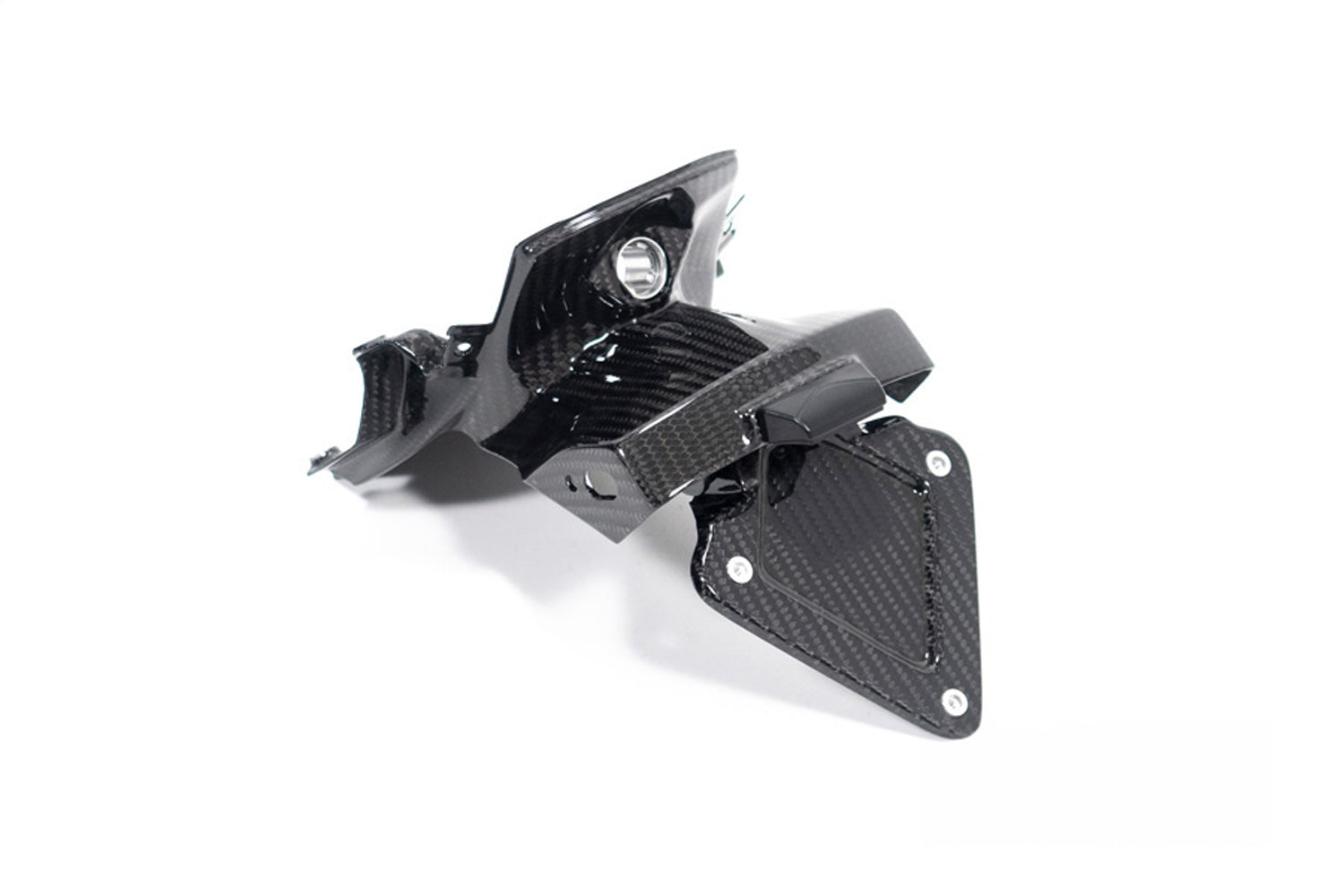 Ilmberger - Splash Guard Number Plate Holder for M 1000 XR