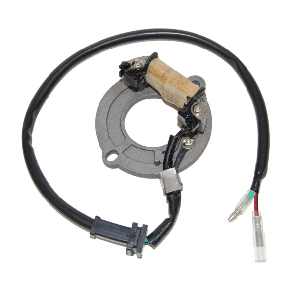 Electrosport-STATOR HON ELECTROSPORT ESC1631 799804154209