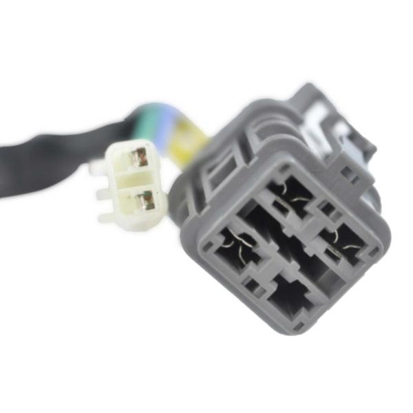 KimpexHD - Stator (SF-010-000497)