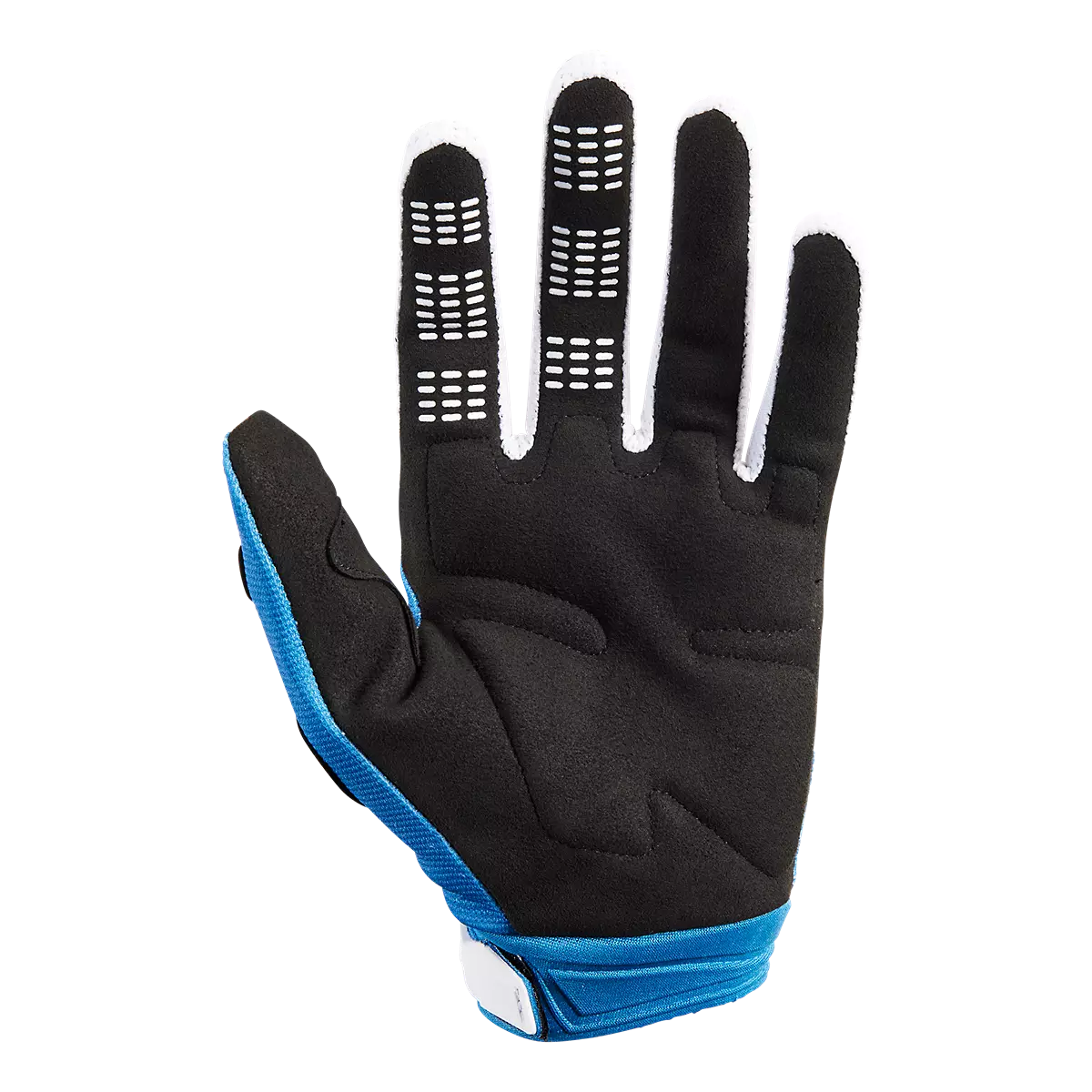 191972731020 30418-4302X 180 GLOVE MORPHIC  Blueberry