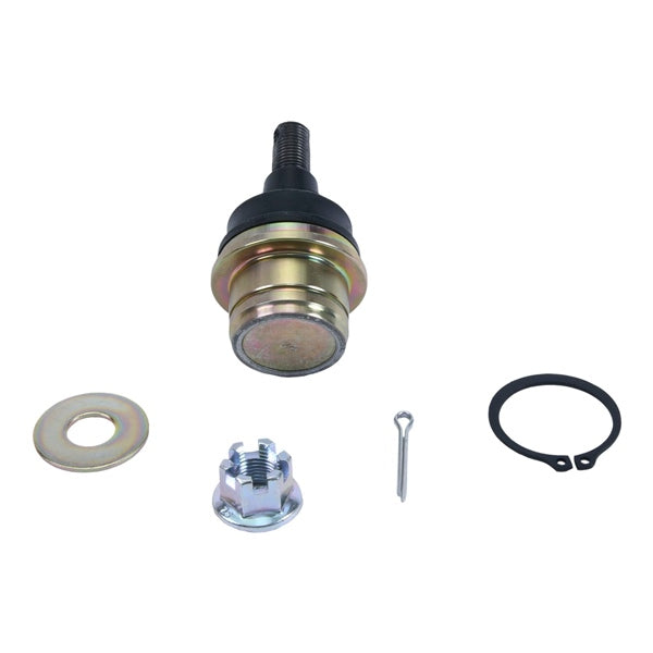 AllBallsRacing-BALL JOINT UPR HON ALLBALLS 42-1058 613310805687