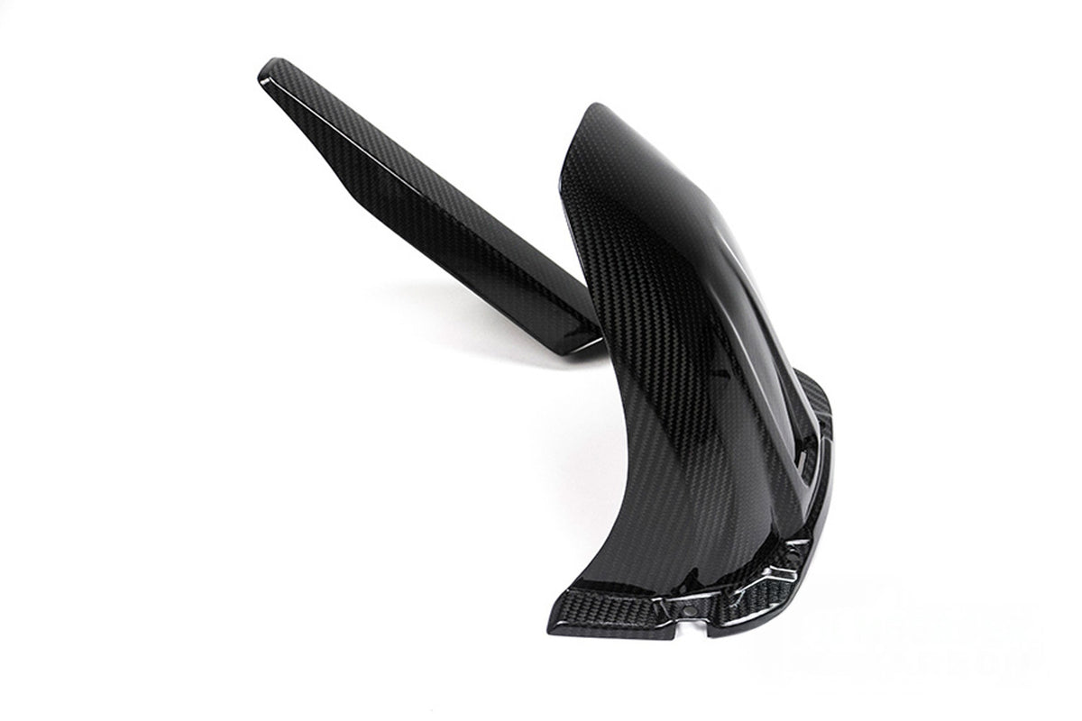 Ilmberger - Rear Mudguard for S 1000 XR