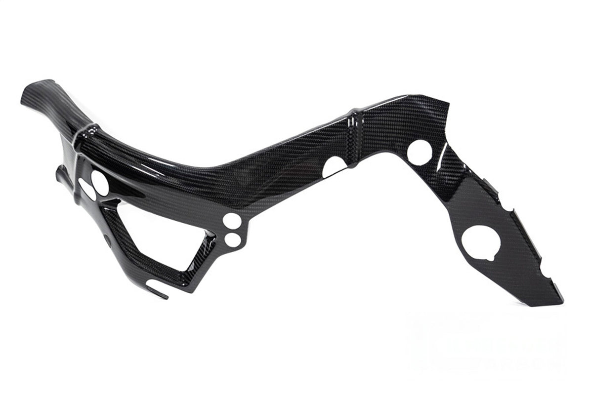 Ilmberger - Frame Cover M Frame for S 1000 RR (35910-411/35910-511)