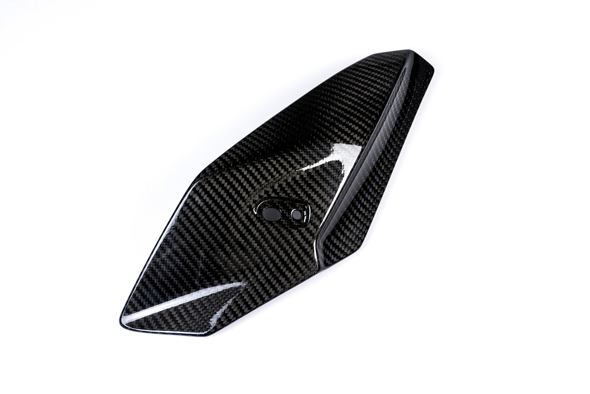 Ilmberger - Side Fairing for S 1000 R (36191)