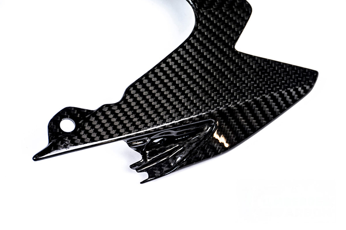 Ilmberger - Tail Fairing Above for S 1000 R/RR