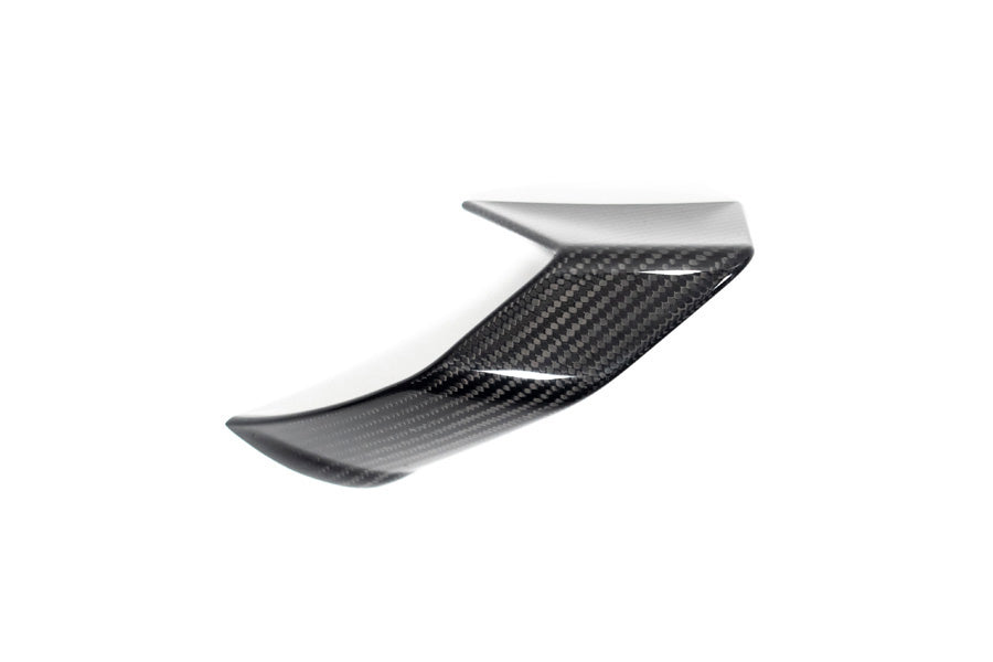 Ilmberger - Faring Side Winglet for S 1000 R