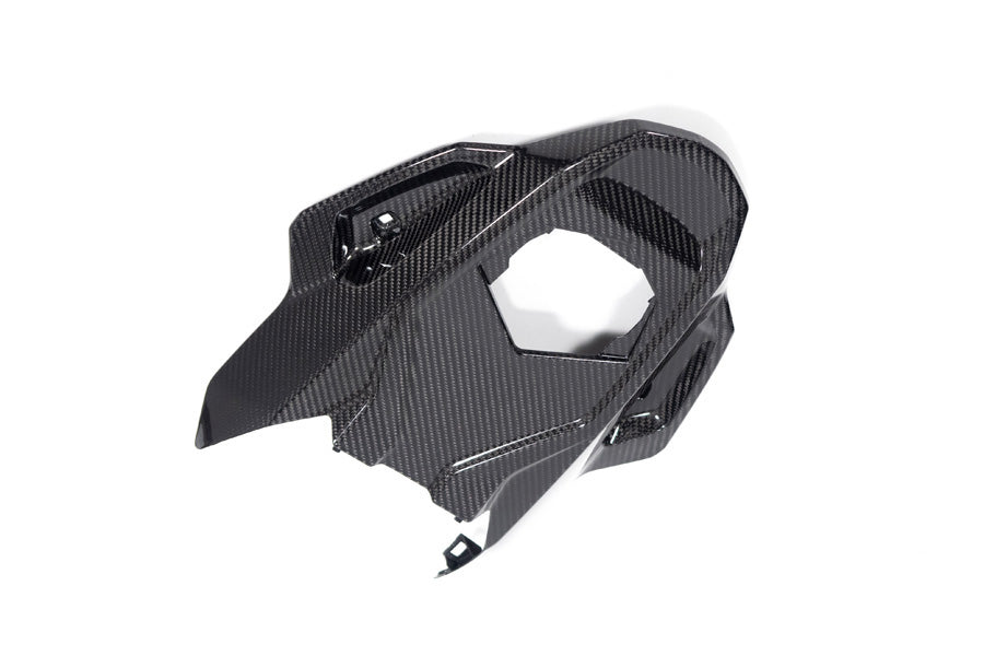 Ilmberger - Frame Protector for M 1000 RR