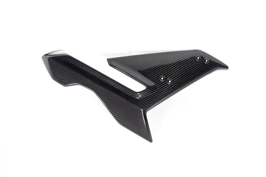 Ilmberger - Side Fairing for S 1000 R (36222)