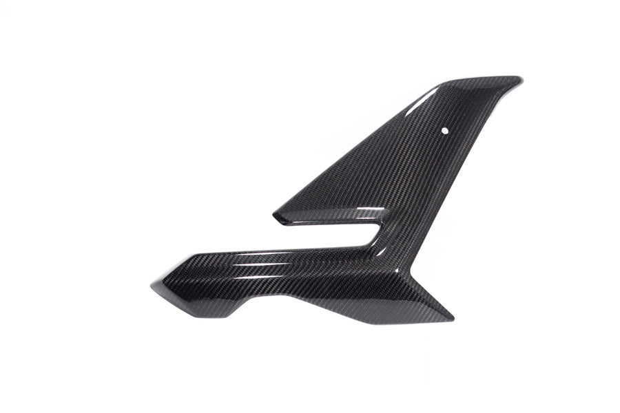 Ilmberger - Side Fairing for M 1000 R