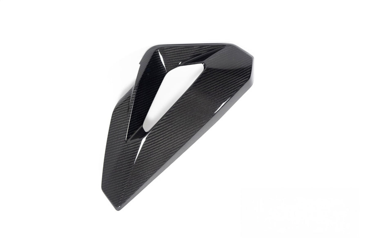 Ilmberger - Side Cover for Water Radiator Fairing Carbon – for BMW S 1000 XR 2024