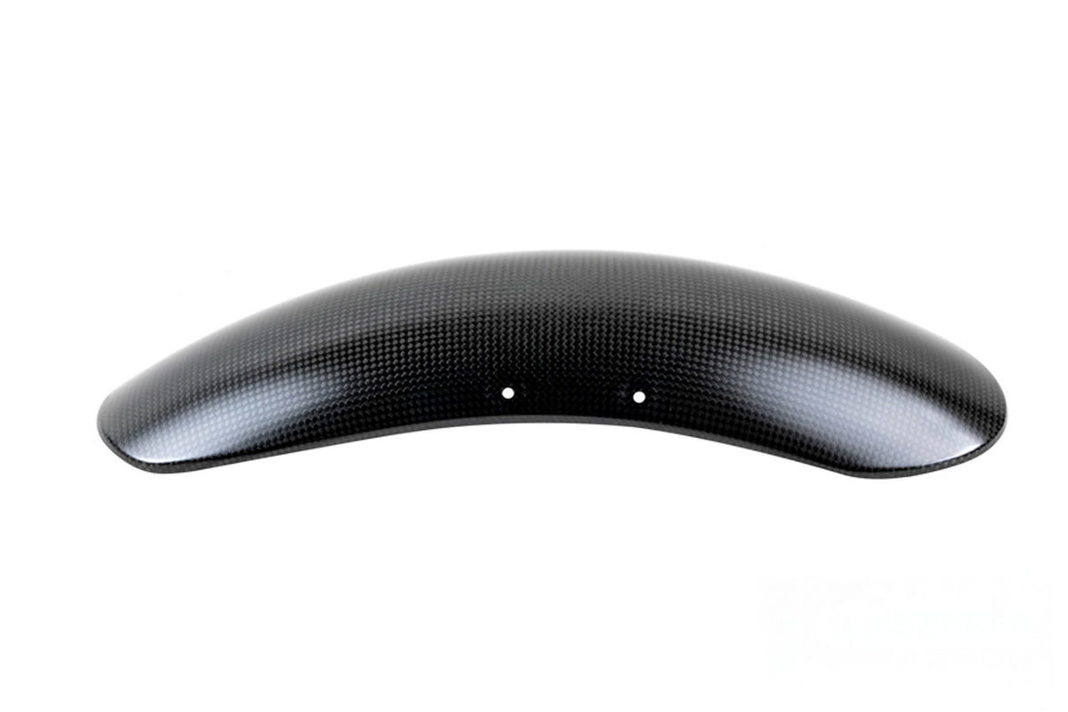 Ilmberger - Mudguard for BMW R 12 nineT 2024 (41208)