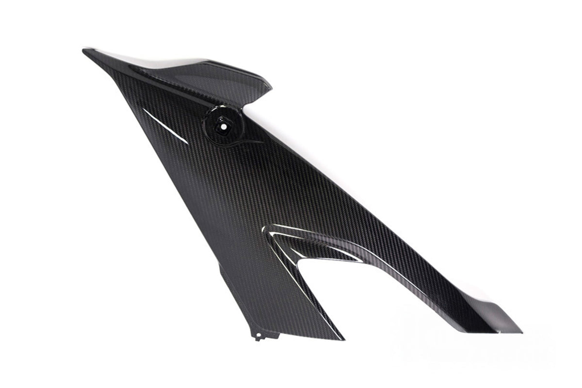Ilmberger - Side Fairing for S 1000 RR (42428)