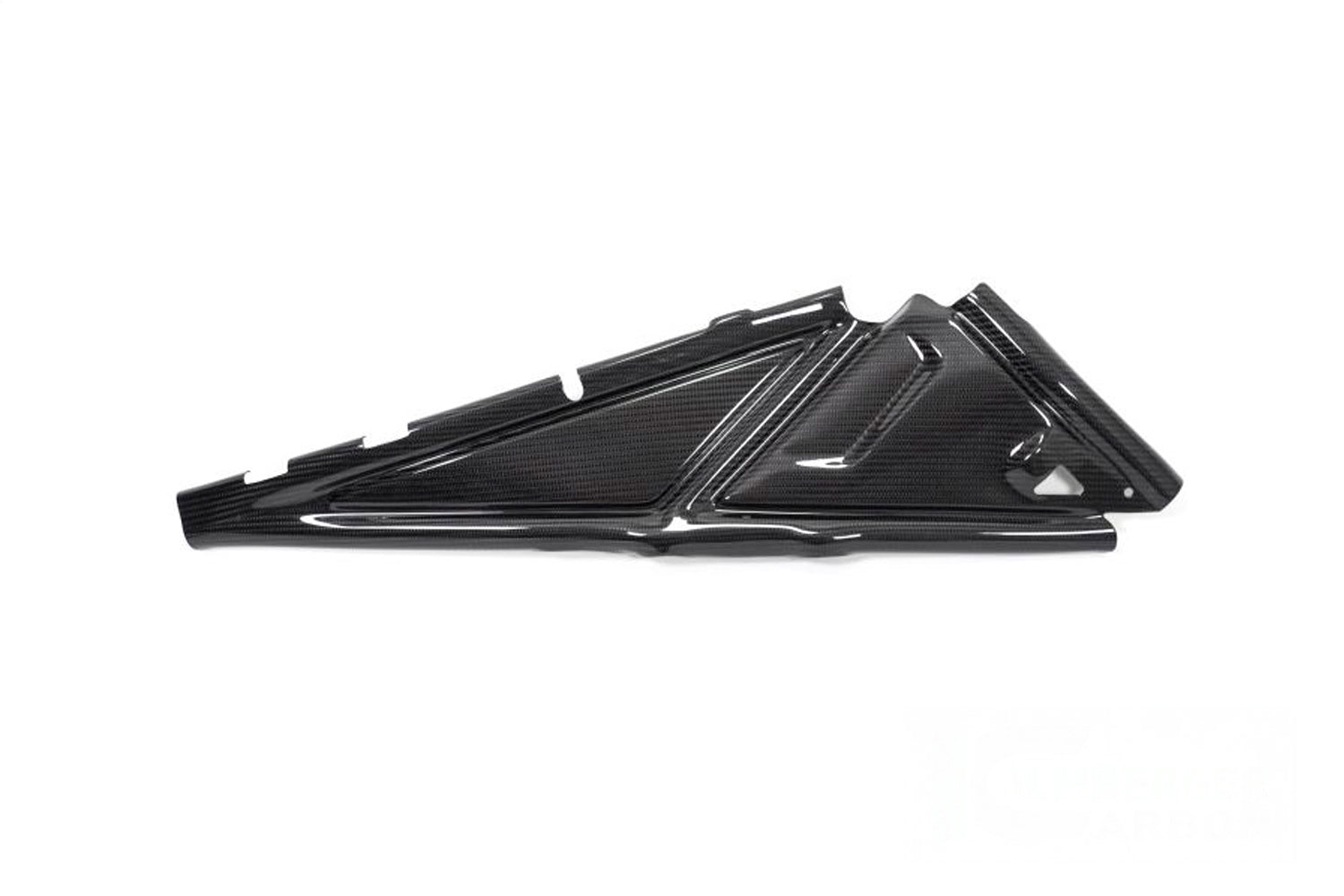 Ilmberger - Rear Frame Cover for R 1250 GS