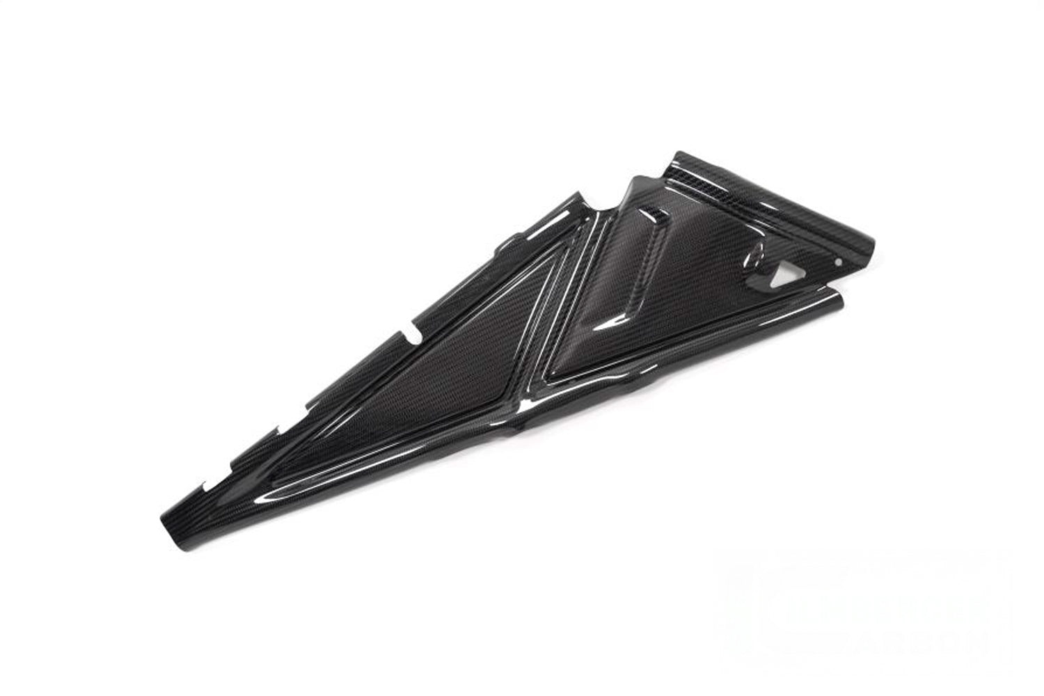 Ilmberger - Rear Frame Cover for R 1250 GS