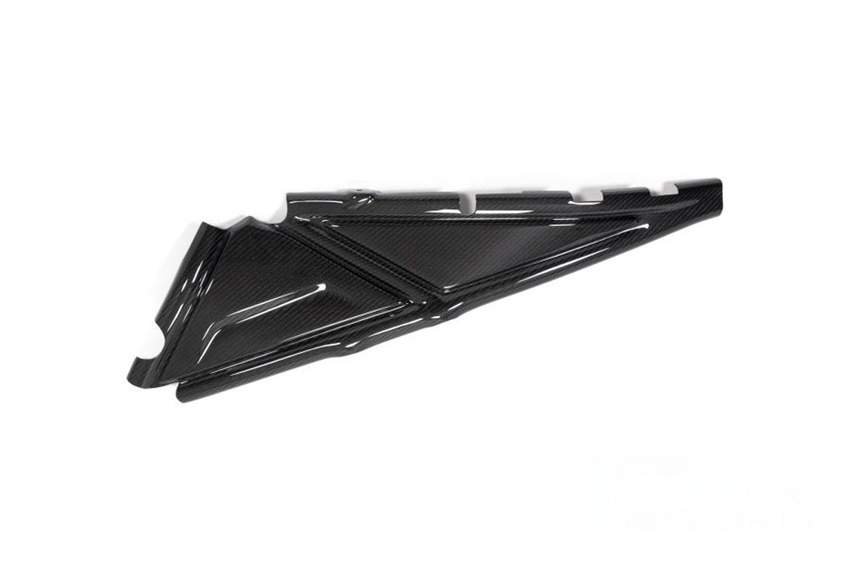 Ilmberger - Rear Frame Cover for R 1250 GS